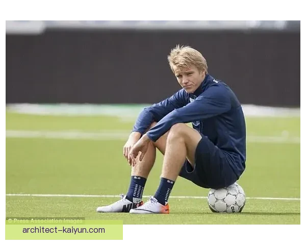 奥德加德国家队表现